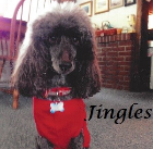 Jingles 